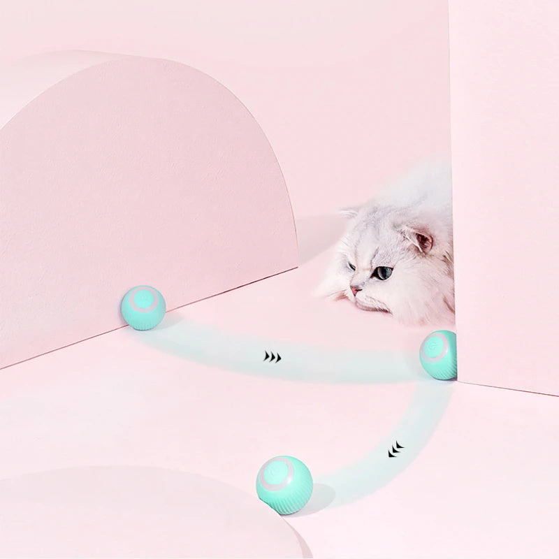 Smart Remote Cat Toy Car
