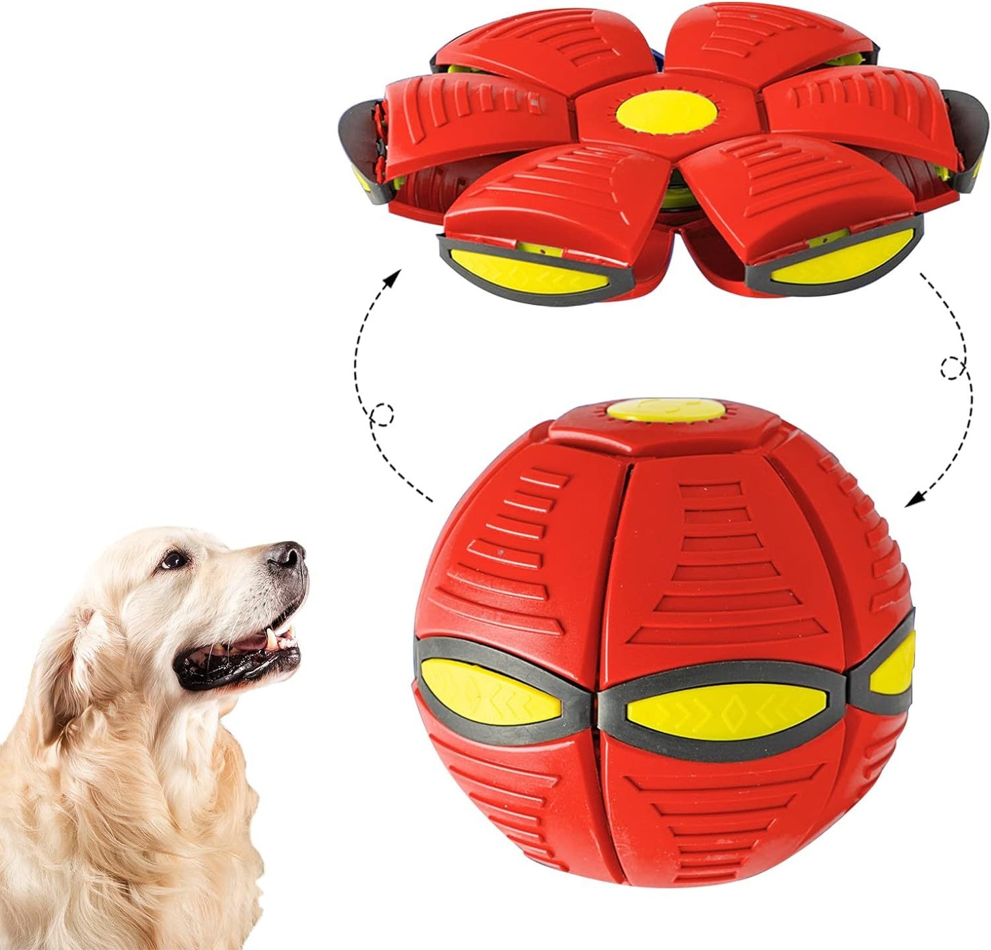 Magic Flying Saucer Dog Toy