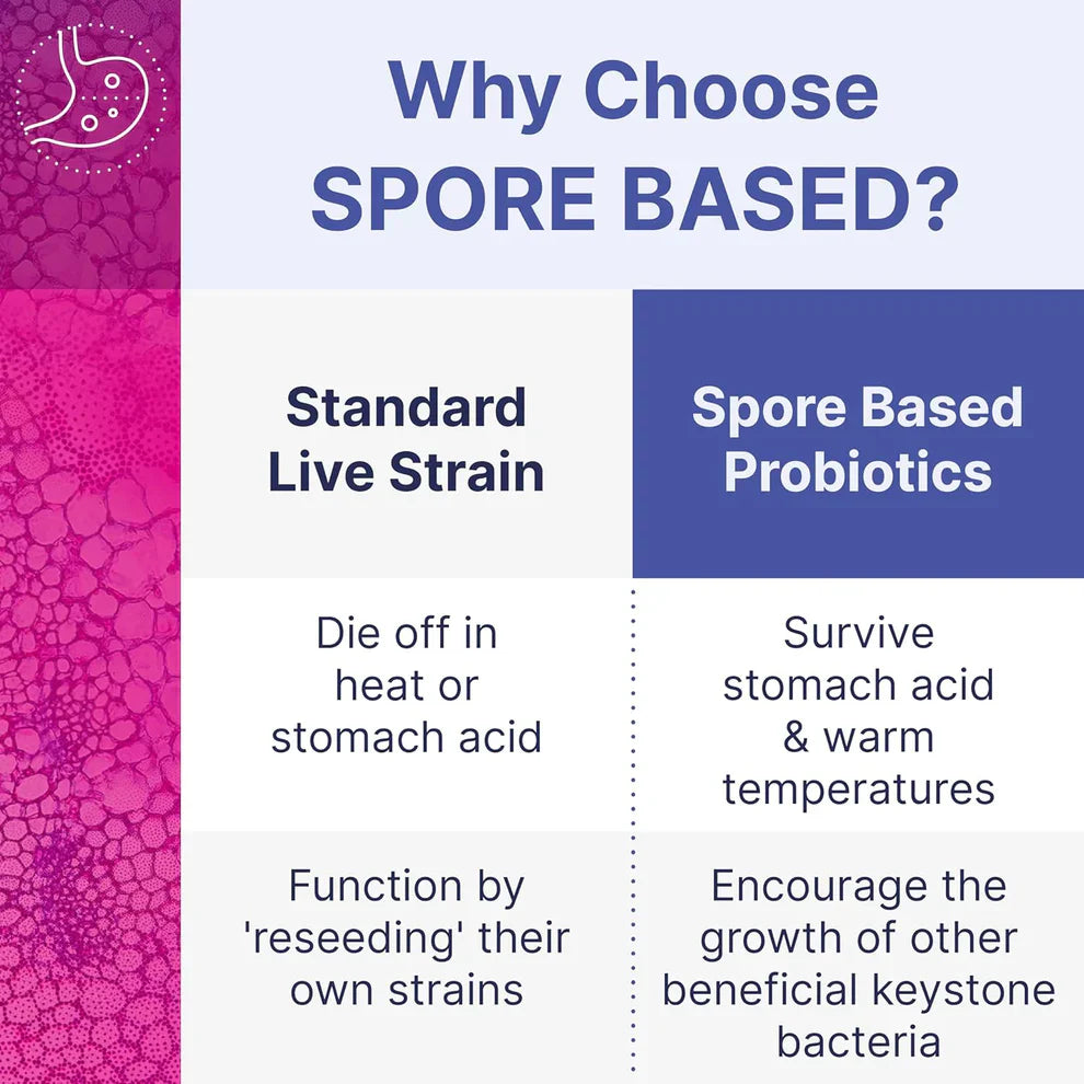 MegaSporeBiotic Probiotics – Spore-Based Digestive Support for Women & Men (60 Capsules)