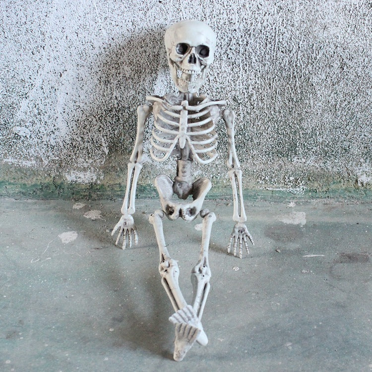 4890040210677