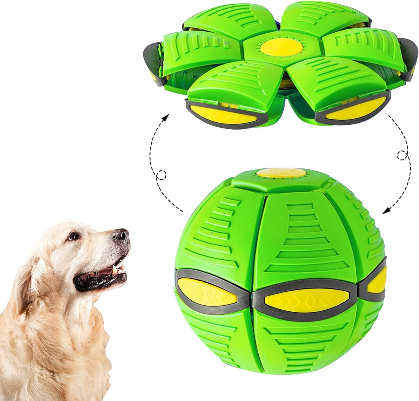 Magic Flying Saucer Dog Toy