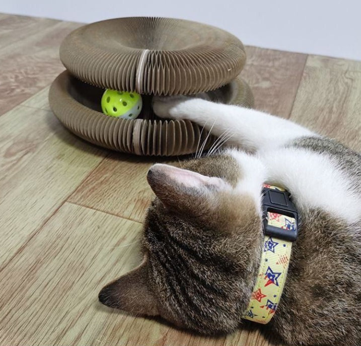 Corrugated Organ Cat Scratch Board Butler Toy