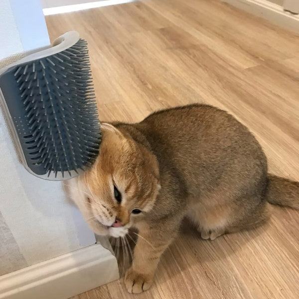 Cat Wall Self-Grooming Brush