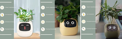 Smart Planter With AI Sensors