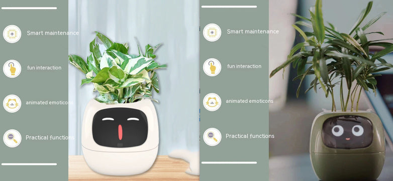 Smart Planter With AI Sensors