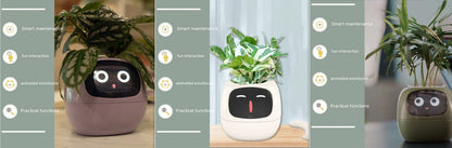Smart Planter With AI Sensors
