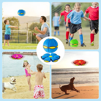 Magic Flying Saucer Dog Toy