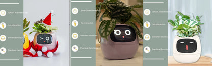 Smart Planter With AI Sensors