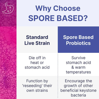 MegaSporeBiotic Probiotics – Spore-Based Digestive Support for Women & Men (60 Capsules)