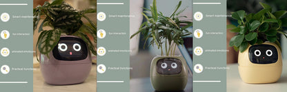 Smart Planter With AI Sensors