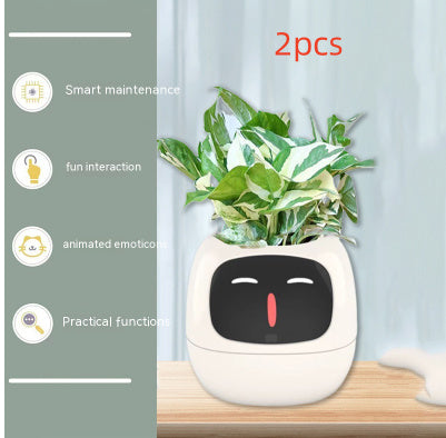 Smart Planter With AI Sensors