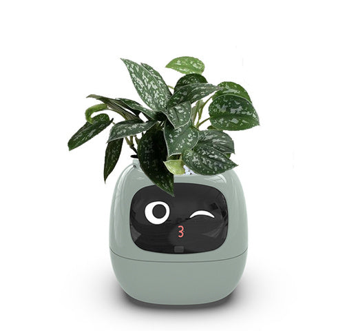Smart Planter With AI Sensors