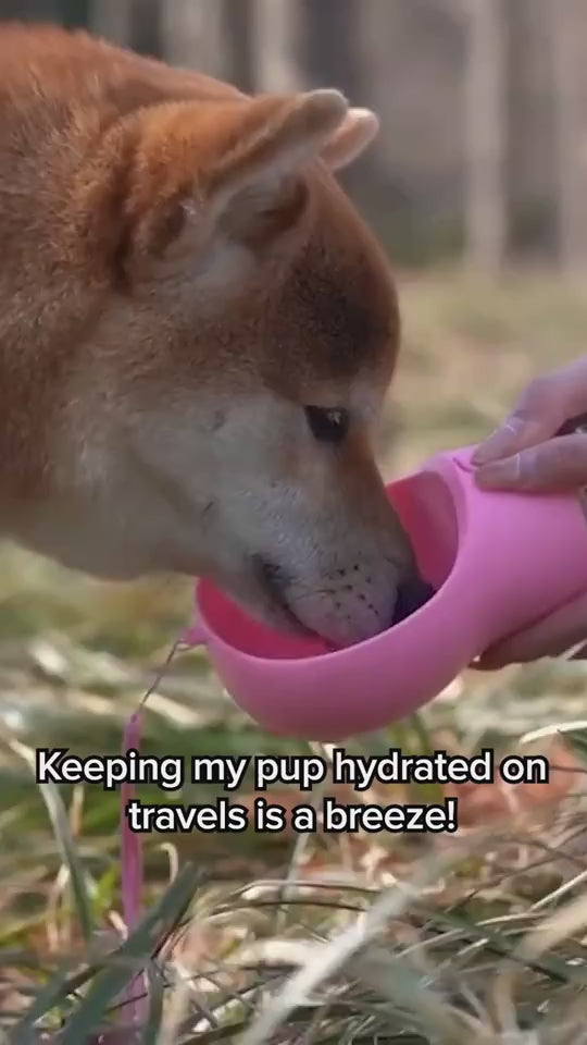 1.mp4